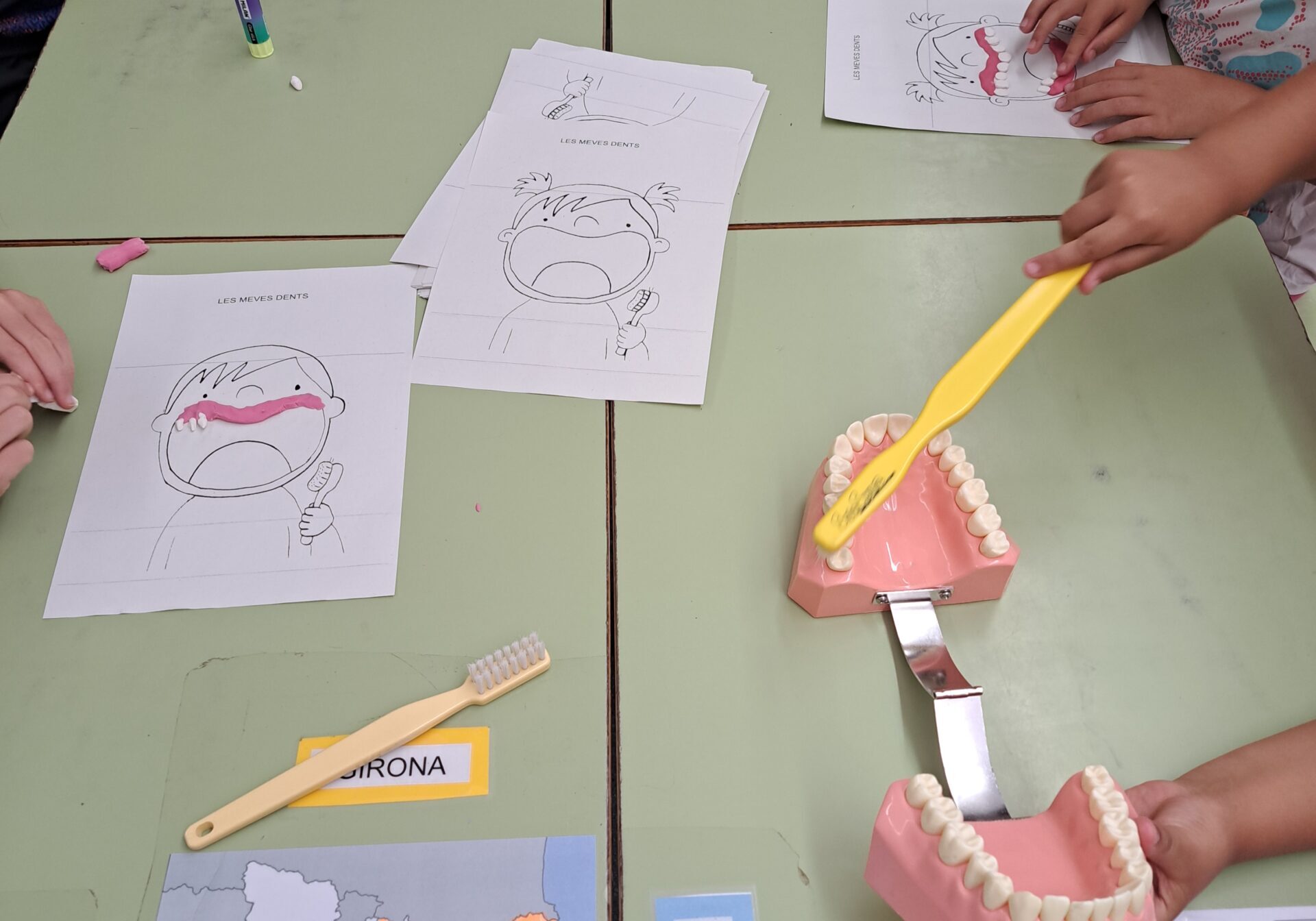 foto coles fulla i plastelina