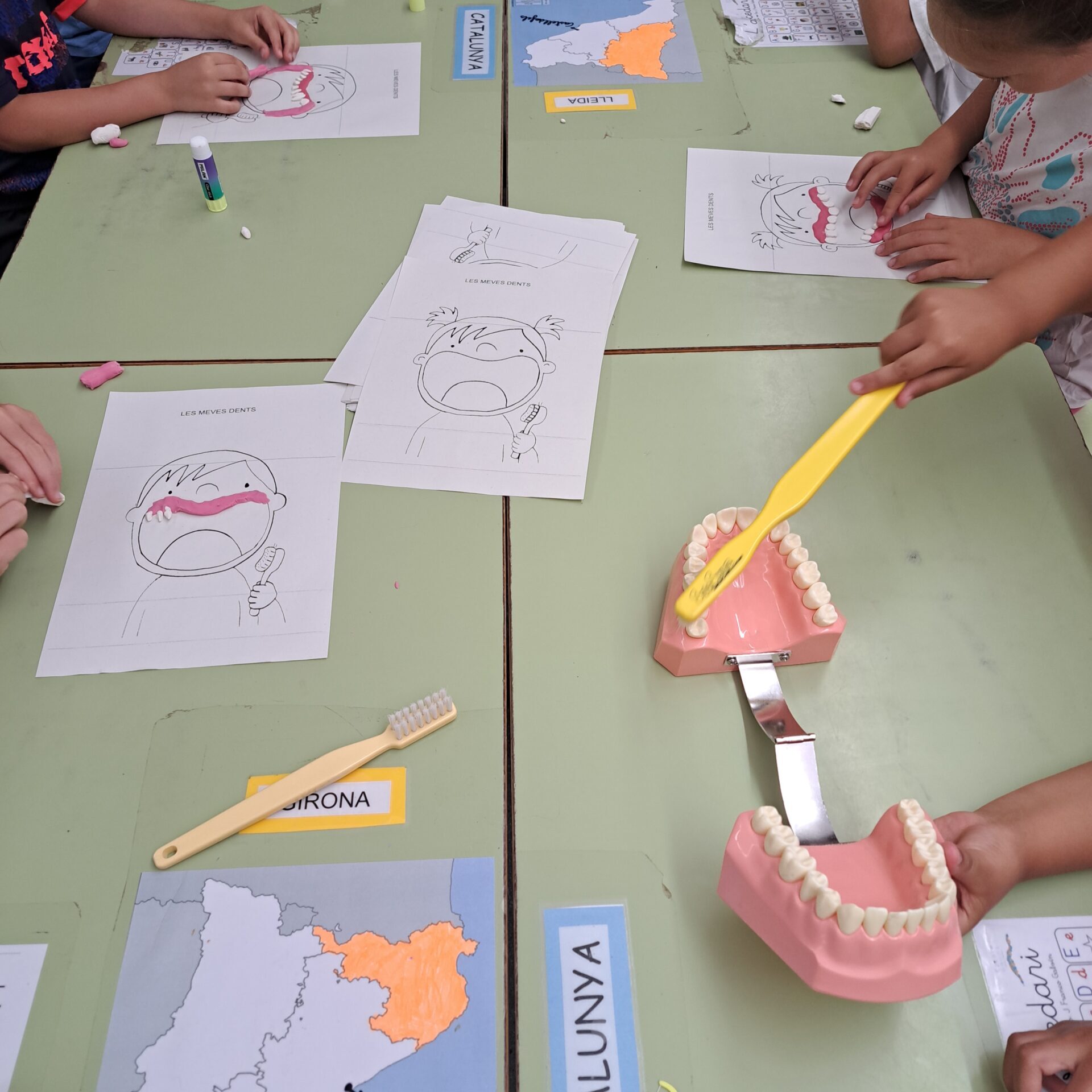 foto coles fulla i plastelina